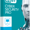 ESET CYBER SECURITY PRO